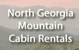 North Georgia Mountain Cabin Rentals LLC